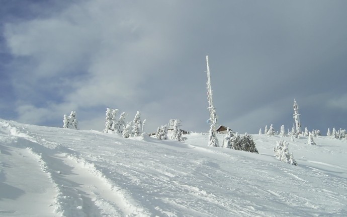 Gobelja, Kopaonik