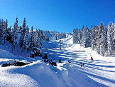OC Jahorina: Popust na ski pas od 50% OC Jahorina: Popust na ski pas od 50%