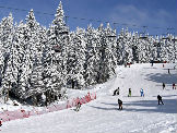MK Mountain Resort objavio program Ski openinga na Kopaoniku MK Mountain Resort objavio program Ski openinga na Kopaoniku